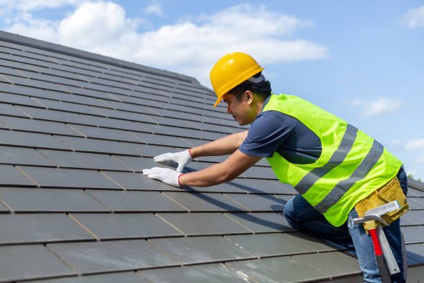 Best Shingle Roofing Installation  in Blue Mountain, MS