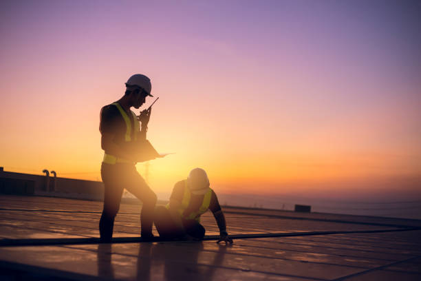 Best Roof Gutter Cleaning  in Blue Mountain, MS