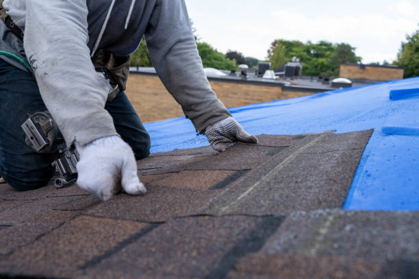 Best Roof Repair Specialists  in Blue Mountain, MS