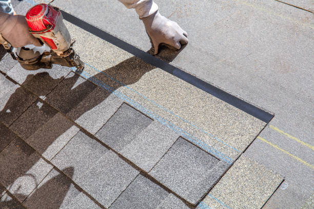 Best Roof Maintenance Services  in Blue Mountain, MS