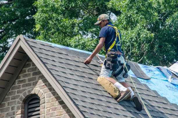 Professional Roofing Contractor in Blue Mountain, MS