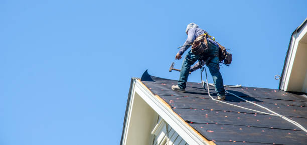 Best Roof Leak Repair  in Blue Mountain, MS